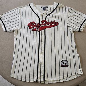 Vintage Big Dogs Pin Striped Button Up Baseball Jersey - Big Dogs